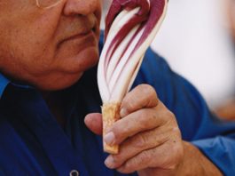 Comm. Antonio Carluccio OBE