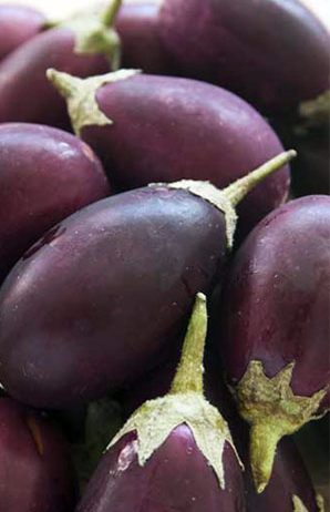 Zucchini e Melanzane alla Scapece