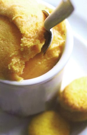 Sorbetto di Campari e Frutto della Passione