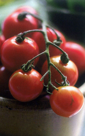 Fagiolini al Pomodoro