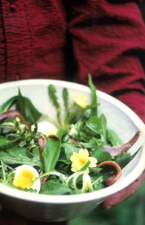 Insalata Primaverile