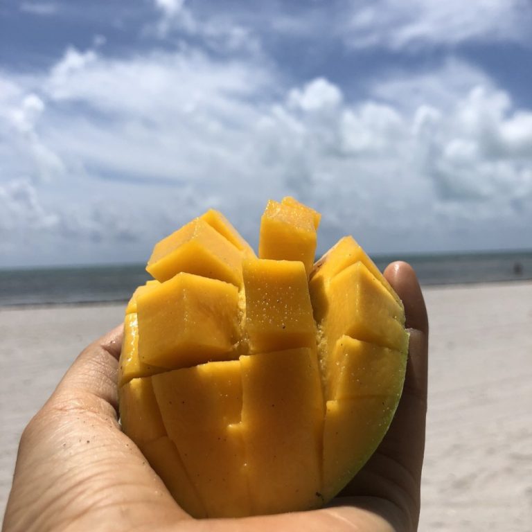 Proof that Mango helps you lose weight! It is Exactly What You Are Looking For Antonio Carluccio