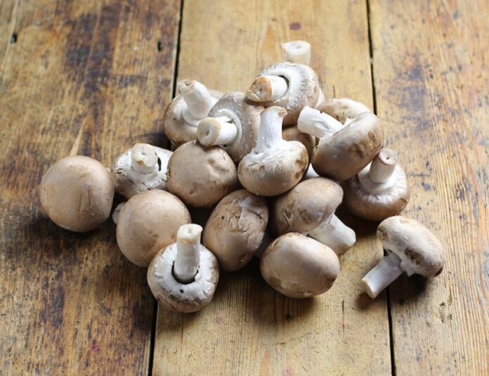 7 Best Mushroom Alternatives in 2022 (Substitutes That You Should Know)