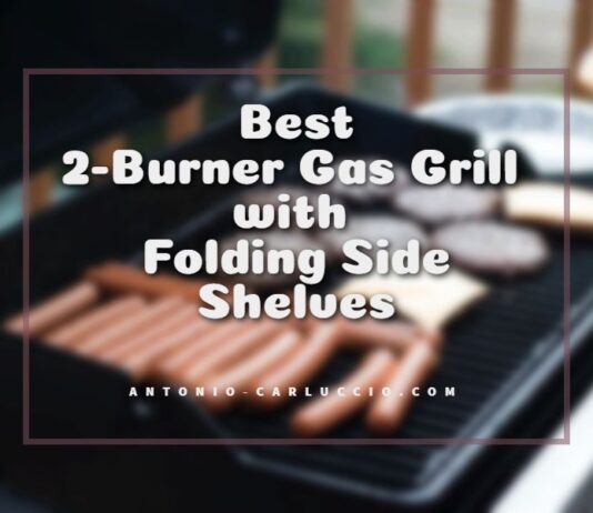Best 2-Burner Gas Grill with Folding Side Shelves
