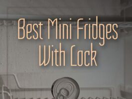 Best Mini Fridges With Lock