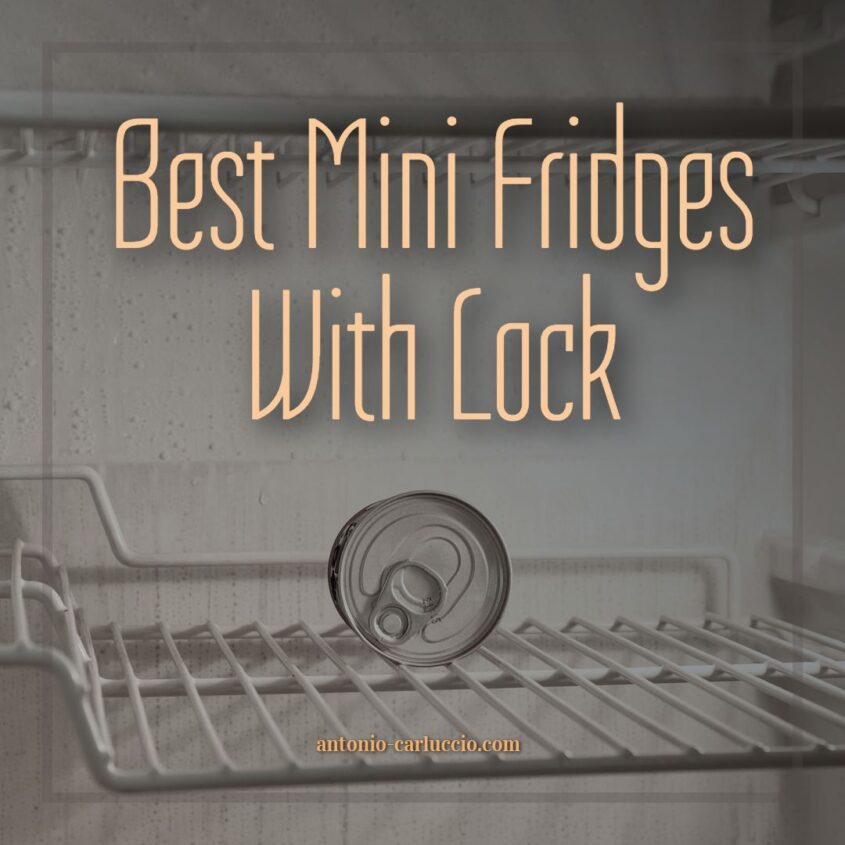 Best Mini Fridges With Lock
