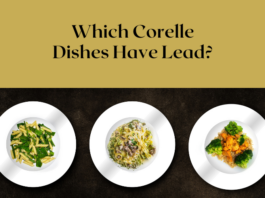Lead in corelle dishes