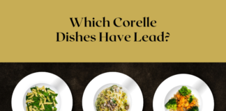 Lead in corelle dishes