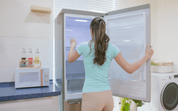 Refrigerator temperature