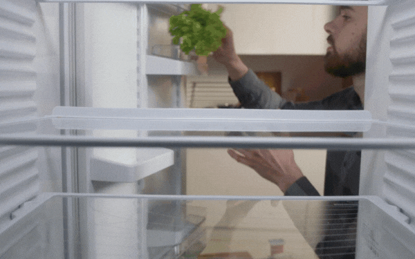 put food in fridge