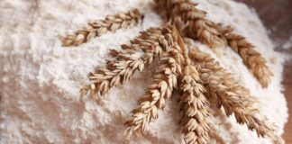 Wheat And Whole Wheat Flour